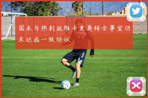 国米与热刺就维卡里奥转会事宜仍未达成一致协议
