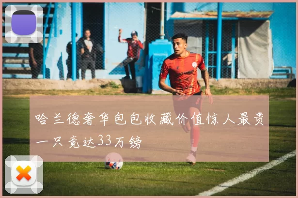 哈兰德奢华包包收藏价值惊人最贵一只竟达33万镑